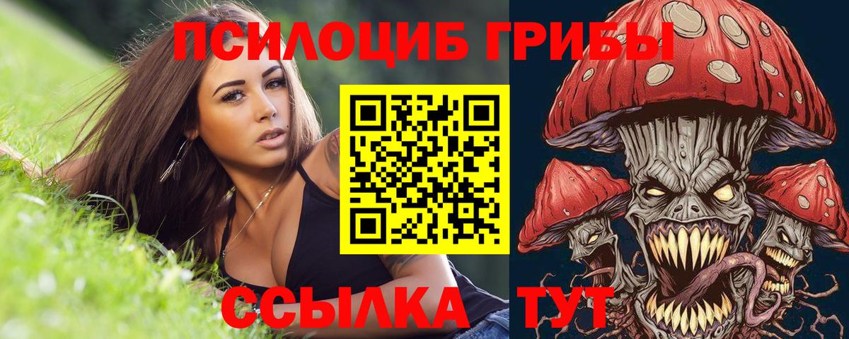 Псилоцибиновые грибы Magic Shrooms  Галлюциногенные грибы прущие грибы  Гулькевичи  Вход с VPN 